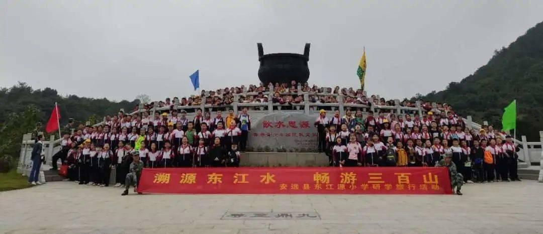 拯救机灵鸟